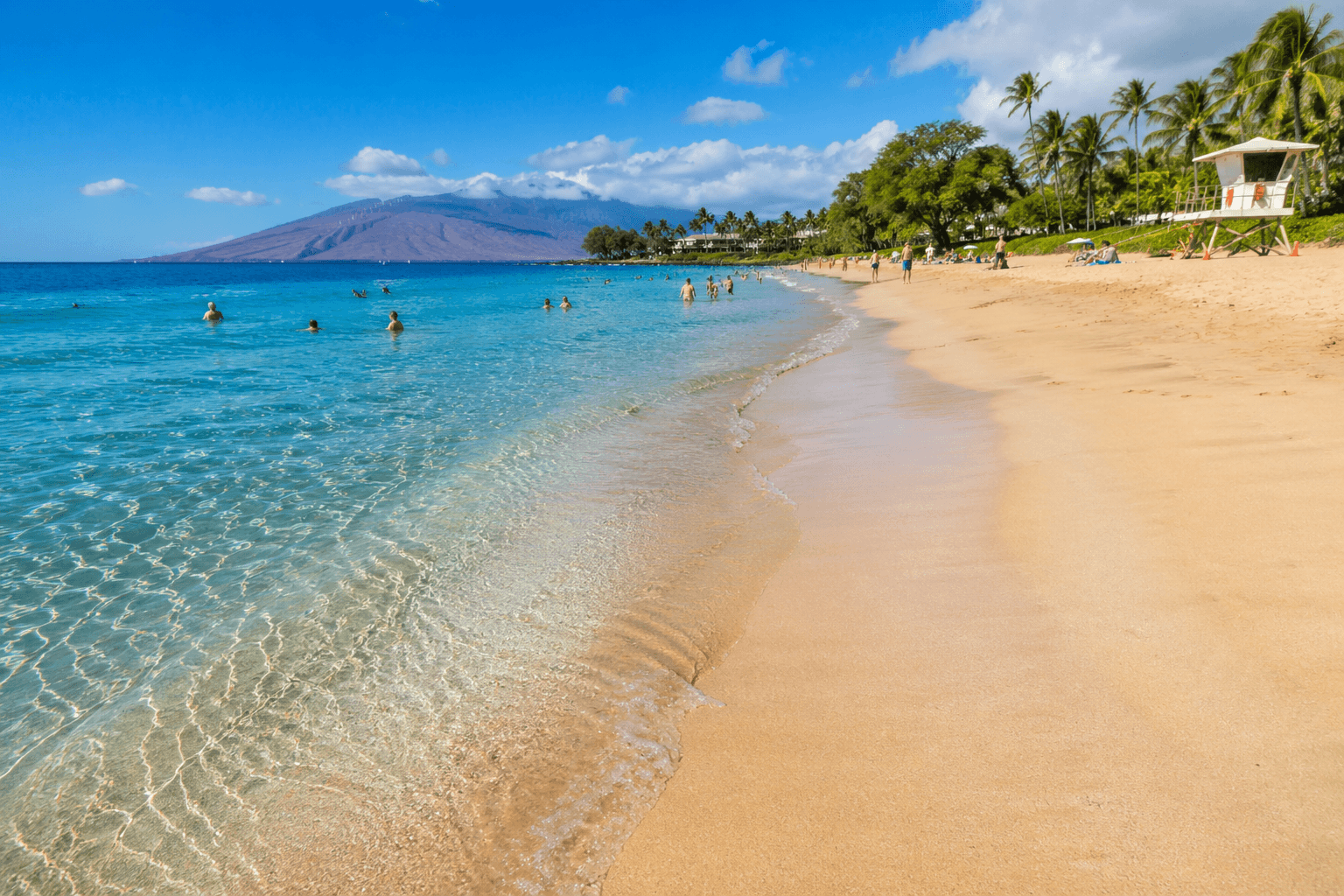 Why Shark Attacks in Maui Are Rare